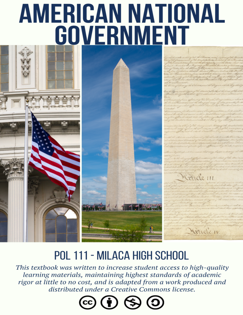 Cover image for American Government and Politics
