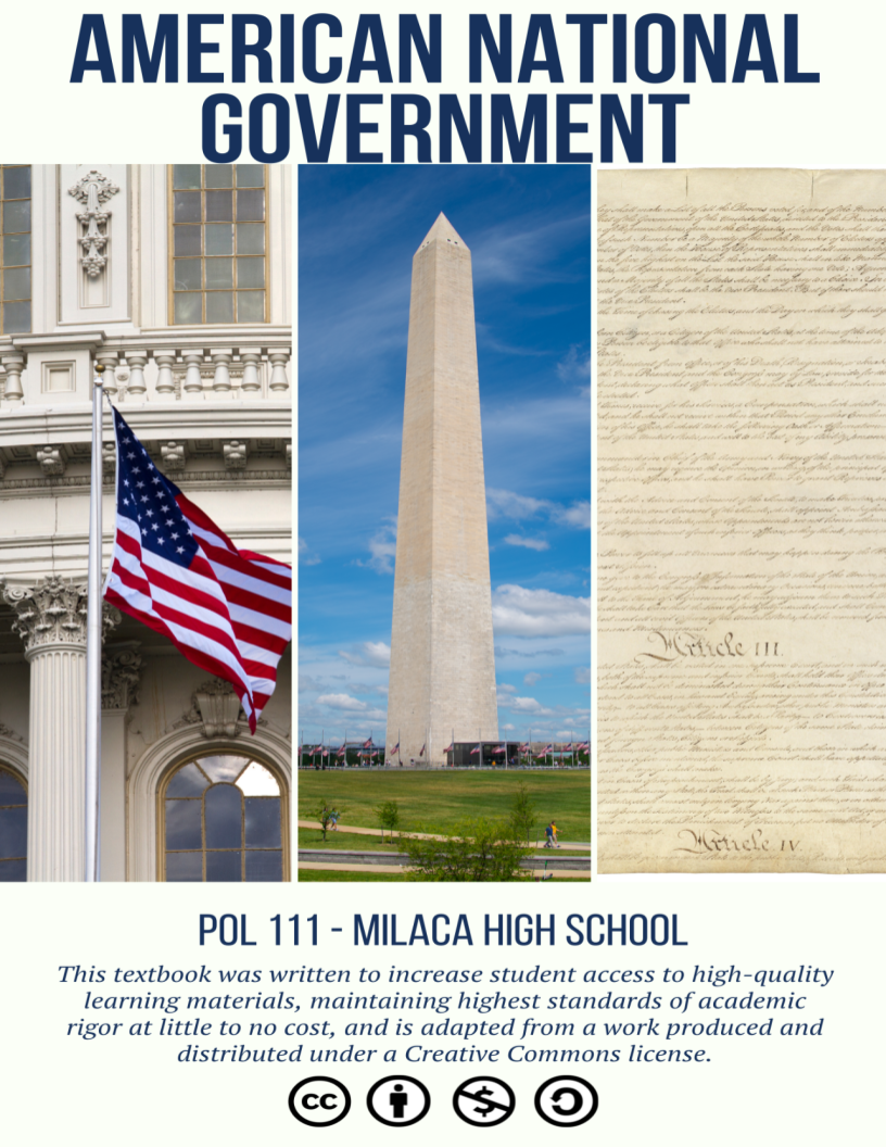 american-government-and-politics-simple-book-publishing