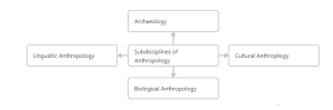 In central box is the word "Subdisciplines of Anthropology." In the four surrounding boxes are the subdisciplines "Archaeology," Cultural Anthropology" "Biological Anthropology" and "linguistic Anthropology."