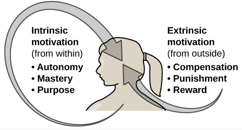 Intrinsic motivation, from inside, includes autonomy, mastery and purpose. Extrinsic motivation, from outside, includes compensation, punishment and reward.