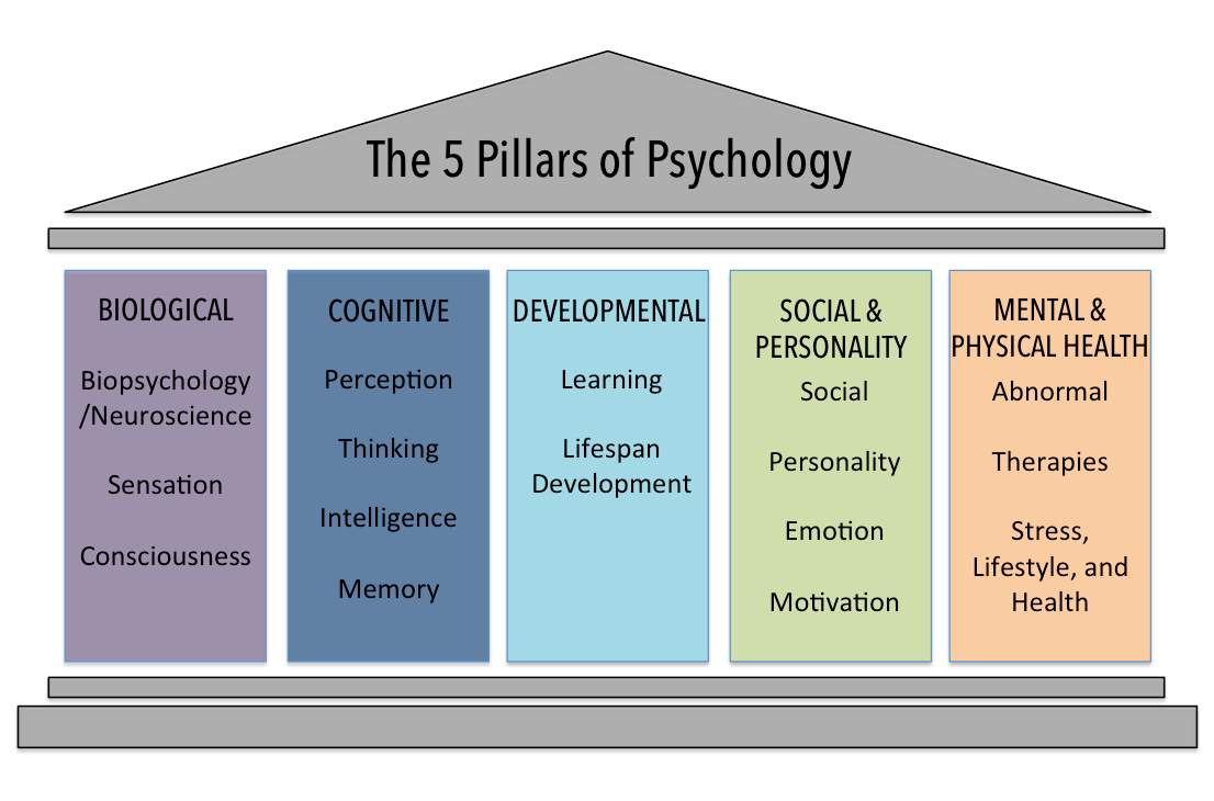 Five pillars of psychology. Biological: biopsychology/neuroscience, sensation, consciousness. Cognitive: perception, thinking, intelligence, memory. Developmental: learning, lifespan development. Social and Personality: social, personality, emotion, motivation. Mental and physical health: abnormal, therapies, stress, lifestyle and health.