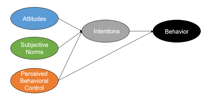 Attitudes, subjective norms and perceived behavioral control all go into intentions. Intentions and perceived behavioral control both go into behavior.