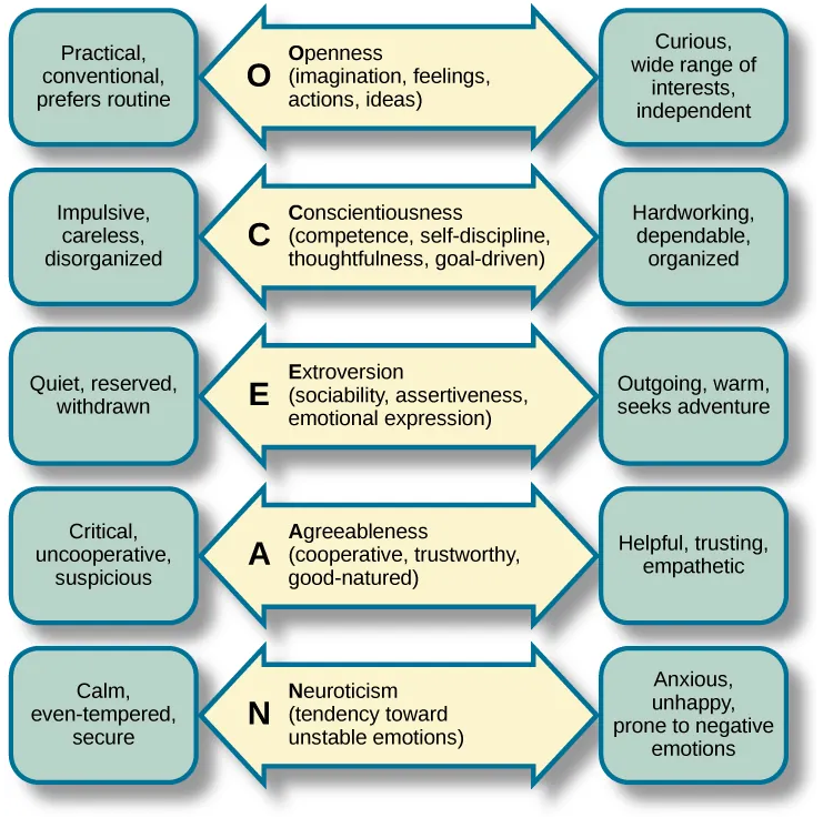 A figure of the Five Factor Module, with each trait in an arrow pointing to characteristics associated with being low and high on that trait. Openness (imagination, feelings, actions, ideas).Low: practical, conventional, prefers routine. High: curious, wide range of interests, independent. Conscientiousness (competence, self-discipline, thoughtfulness, goal-driven). Low: Impulsive, careless, disorganized. High: Hardworking, dependable, organized. Extroversion (sociability, assertiveness, emotional expression). Low: Quiet, reserved, withdrawn. High: Outgoing, warm, seeks adventure. Agreeableness (cooperative, trustworthy, good-natured). Low: Critical, uncooperative, suspicious. High: Helpful, trusting, empathetic. Neuroticism (tendency towards unstable emotions). Low: Calm, even tempered, secure. High: Anxious, unhappy, prone to negative emotions.