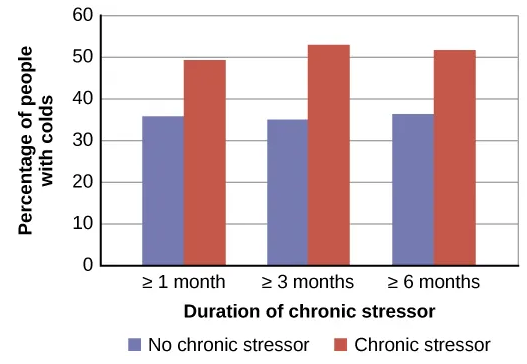 Bar chart with percentage of people with colds after being exposed to a cold virus. 33% of those without chronic stressors got a cold. However, higher percentages of people with chronic stressors got colds, proportionate to how long the stressors lasted. About 49% of those with a greater than one month stressor did, about 51% of those with a greater than three month stressor did, and about 52% of those with a greater than 6 month stressor did.