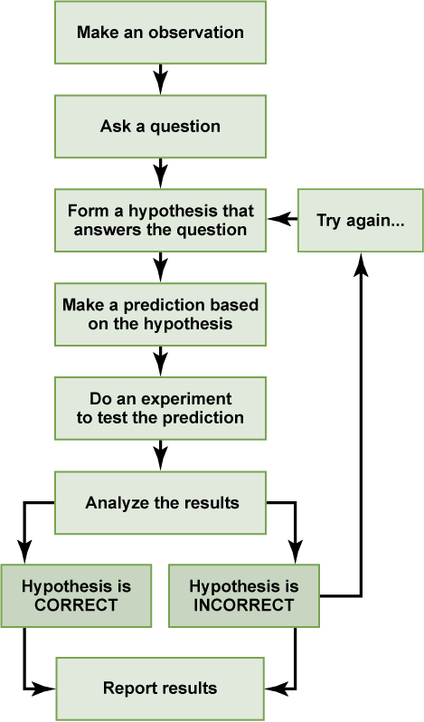 Flowchart of the scientific method. It begins with make an observation, then ask a question, form a hypothesis that answers the question, make a prediction based on the hypothesis, do an experiment to test the prediction, analyze the results, prove the hypothesis correct or incorrect, then report the results.