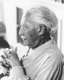 Erik Erikson.