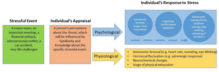 Diagram. First box labeled Stressful Event. Inside box reads "A major exam, an important meeting, a financial setback, interpersonal conflict a car accident, new life challenges." To right of box is second box labeled "Individual's Appraisal. Inside box reads "A person's perceptions about the threat, which will be influenced by familiarity and knowledge about the specific stressful event." Two arrows after this box lead to the individuals' Psychological response to stress including emotional (anxiety, anger, fear, frustration), cognitive (performance depletion) and behavioral (coping efforts, problem-solving, help seeking, releasing of emotions) and Physiological: Autonomic arousal (e.g. heart rate, sweating, eye blinking), hormonal fluctuation (e.g. adrenergic response), neurochemical changes, and state of physical exhaustion.