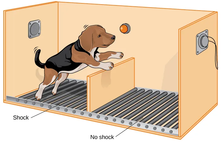 A cartoon of Seligman's learned helplessness chamber. Chamber is described in text.