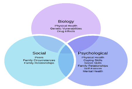 Venn diagram showing three circles all somewhat overlapping with each other: Biology (physical health, genetic vulnerabilities, drug effects), Social (peers, family circumstances, family relationships), Psychological (physical health, coping skills, social skills, family relationships, self-esteem, mental health).