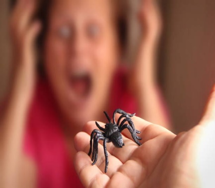 A close-up of a toy spider with a person screaming in fear in the background.