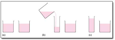 In first step two same cups have equal amount of liquid. In second step, one cup's liquid is poured into a taller, skinnier cup. In the third step the taller cup's liquid is taller than the second's cup even though they have the same amount of liquid.