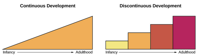 Continuous development is a smooth slope from infancy to adulthood whereas discontinuous development is a series of steps.