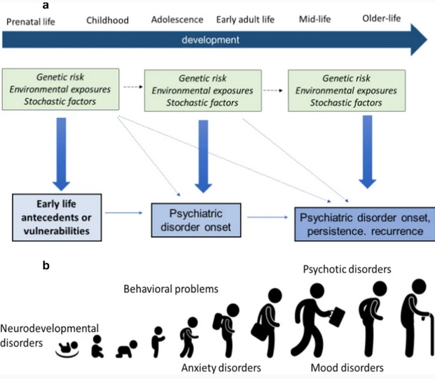 Diagram. Arrow at top of picture showing developmental sequence starting with prenatal life, then childhood, then adolescence, then early adult life, then midlife, then older life moving from left to right. Next line down has three boxes with arrows from the left boxes to the right. All boxes say "genetic risk, environmental exposures and stochastic factors." The next line has an arrow down pointing to examples of those. Under prenatal life an dchildhood is "early life antecedents or vulnerabilities. Then an arrow pointing to a box with "Psychiatric disorder onset" under adolescence and early adult life. Then an arrow pointing to a box with "psychiatric disorder onset, persistence, recurrence" under mid-life and older life. On the last line it shows the most common disorders at those times, with neurodevelopmental disorders under prenatal and childhood, behavioral problems under childhood and adolescence, anxiety disorders under adolescence and early adult and psychotic disorders and mood disorders under mid and older life.