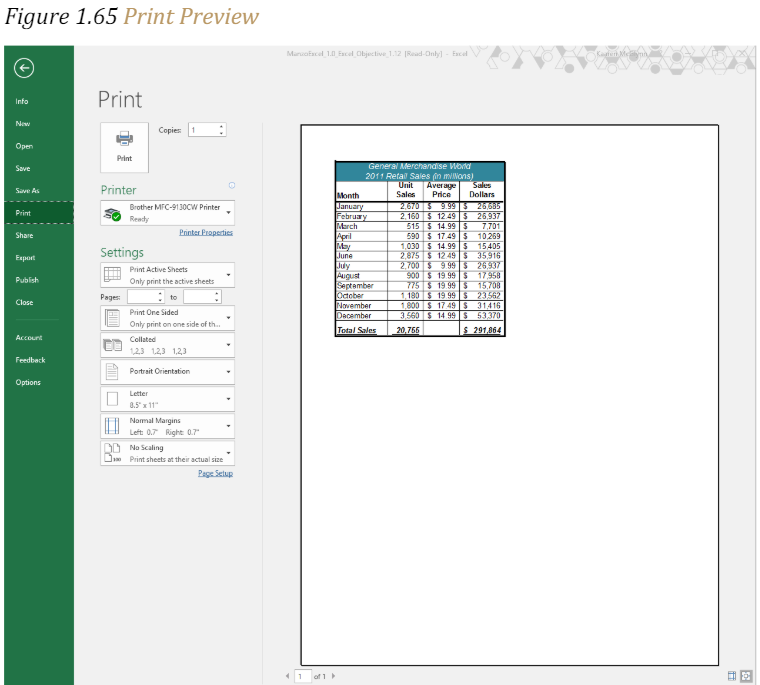 Figure 1.65 "Print Preview"