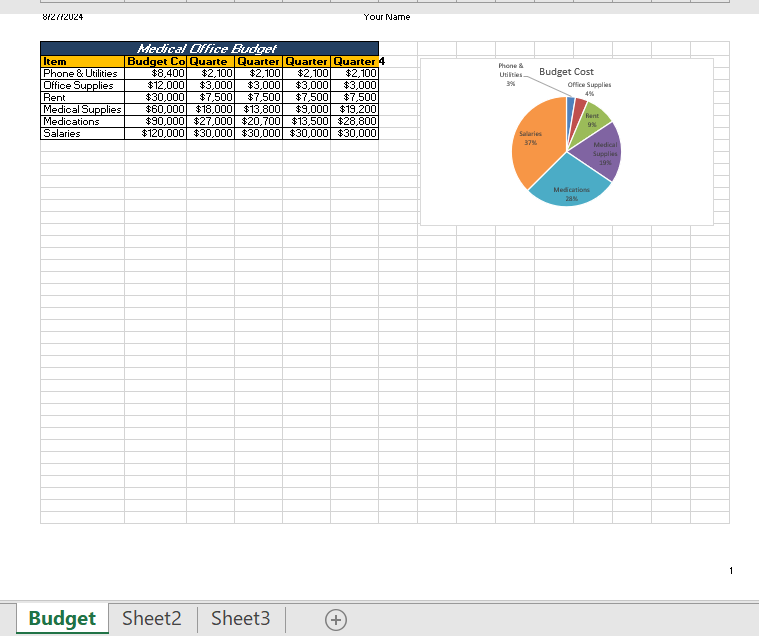 Figure 1 - Completed Medical Budget Exercise