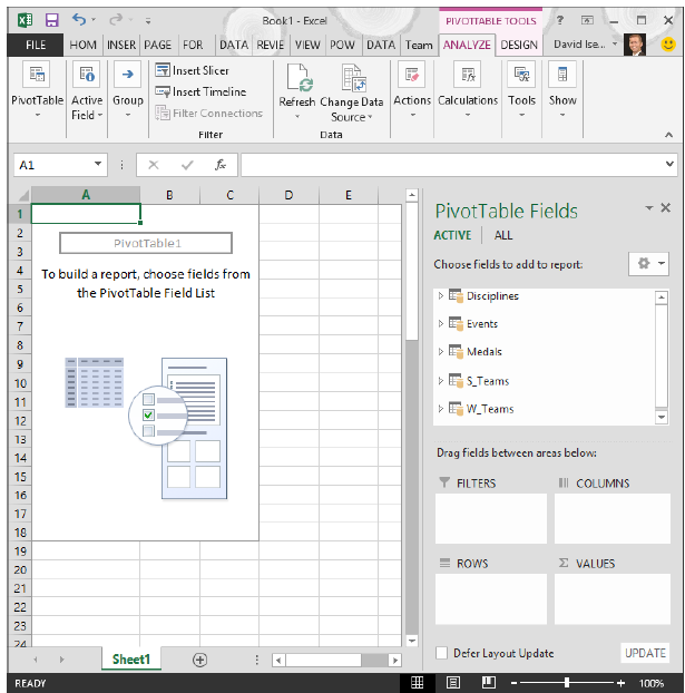 PivotTable Created from Imported Access Data