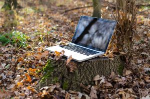 computer on tree stump