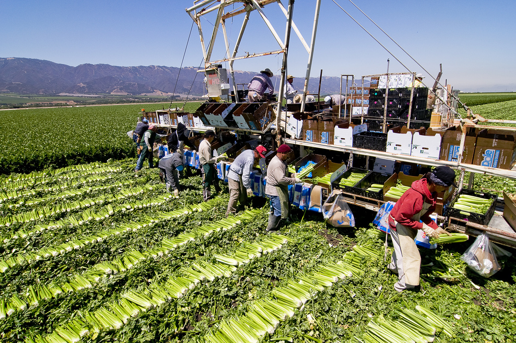 Farmers and Agribusiness – American Environmental History