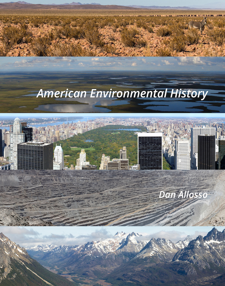 Cover image for American Environmental History