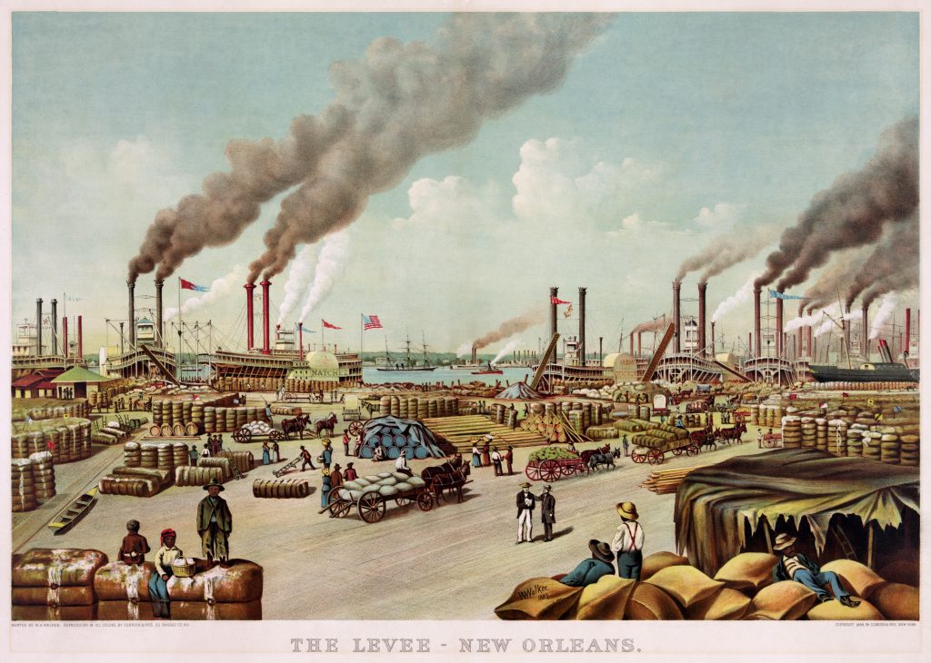 Slavery and King Cotton US History I Precolonial to Gilded Age