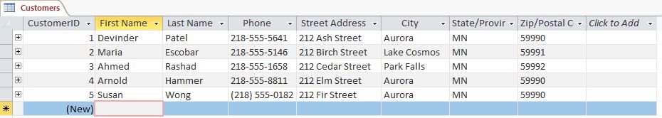 Datasheet view