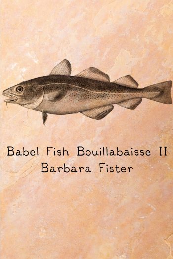 Cover image for Babel Fish Bouillabaisse II