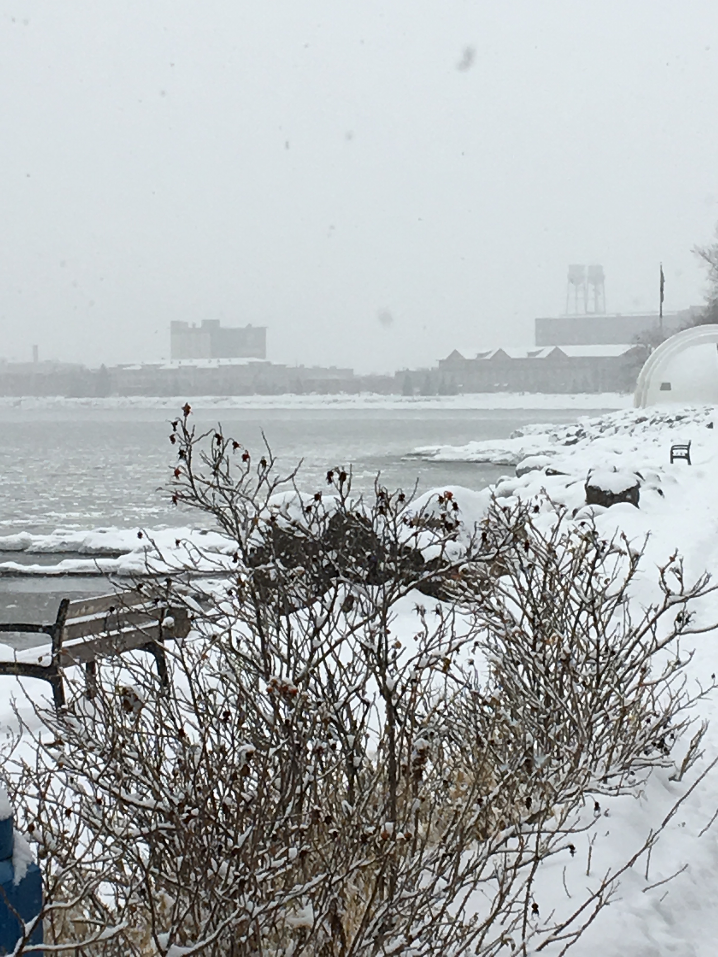 Cover image for Coming to Duluth:  Winter
