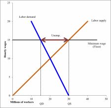 Supply And Demand: Who Gets Food, Housing, And Work? – Economics For ...