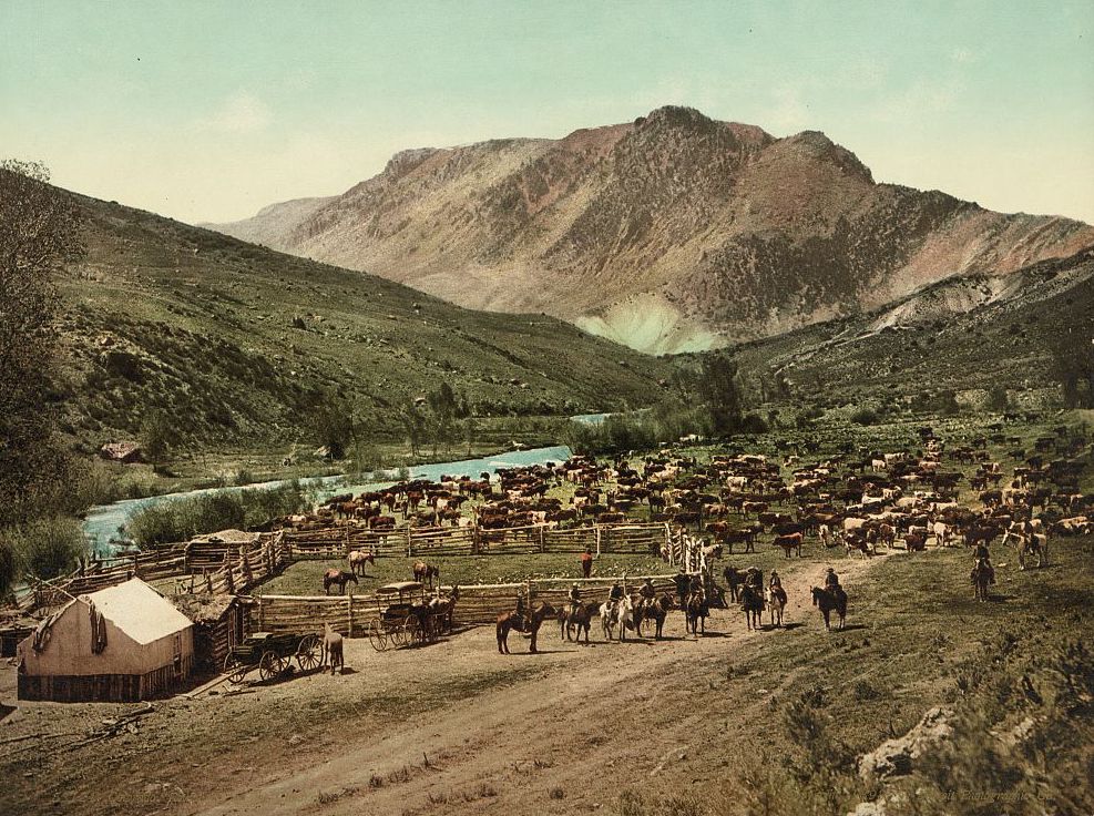 “Colorado. ‘Round up’ on the Cimarron,” about 1898.