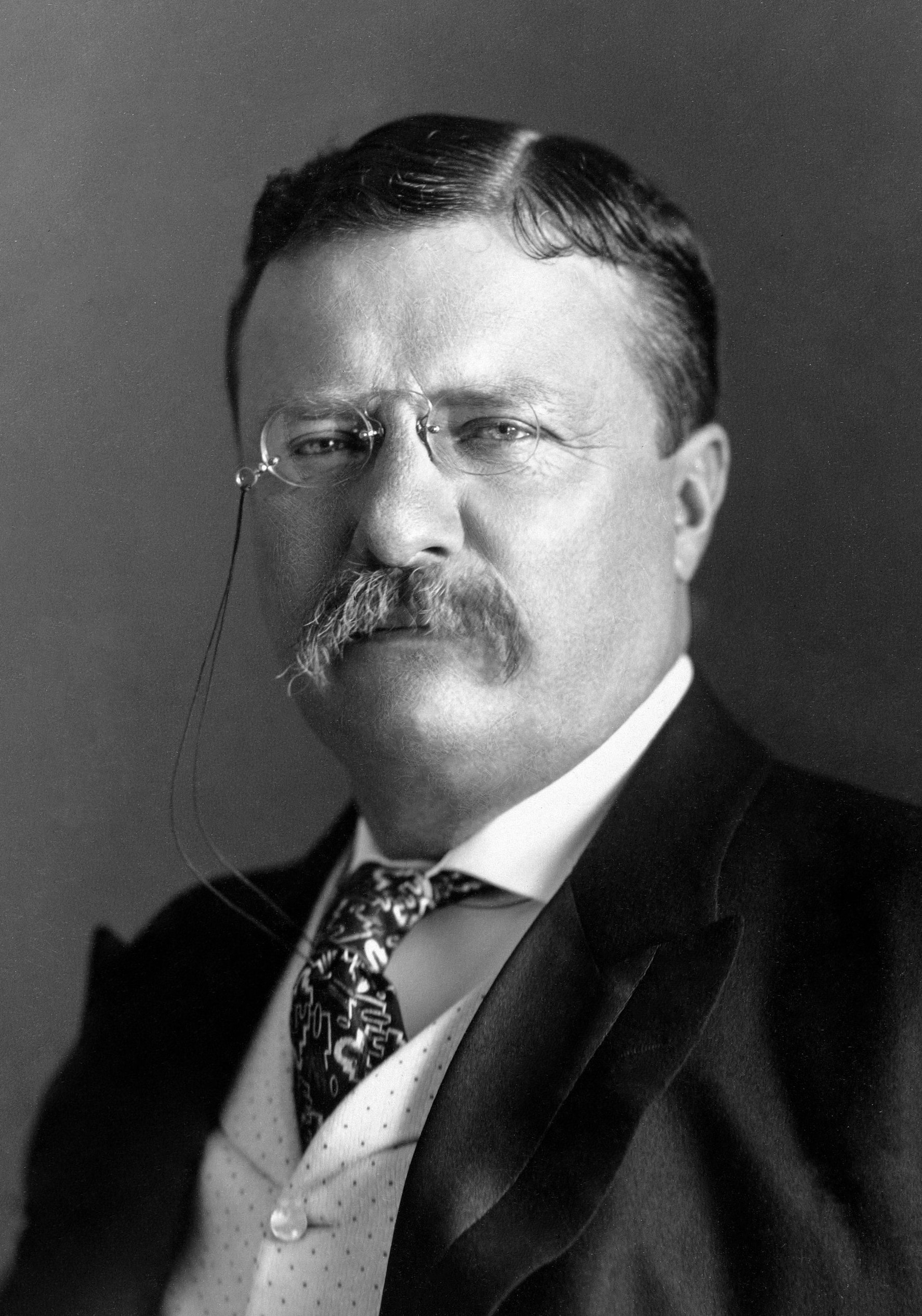 Theodore Roosevelt in 1904