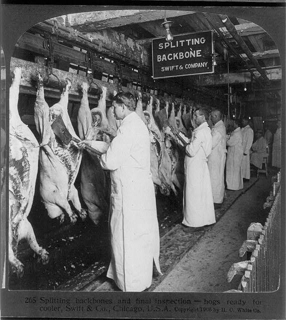 Meat inspectors, 1906.