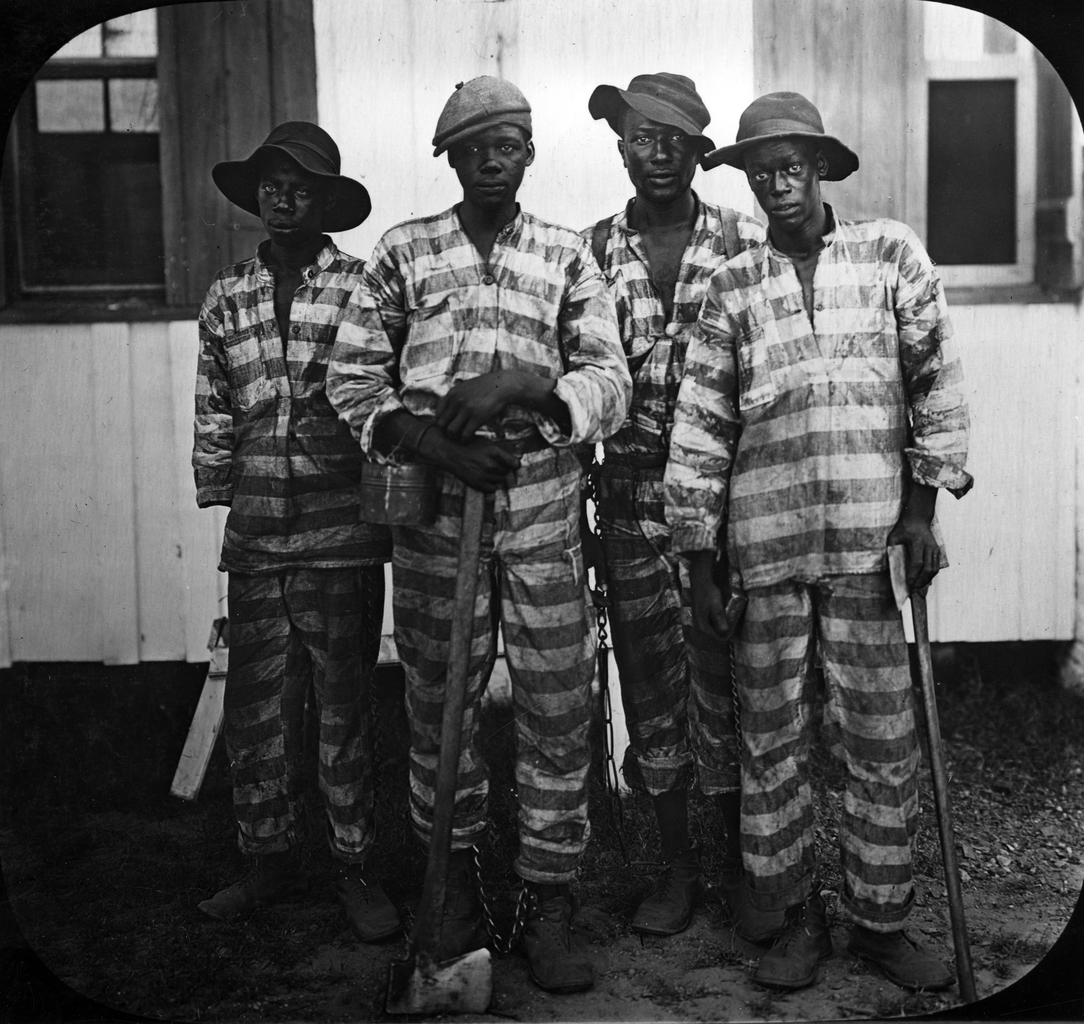 Convicts leased to harvest timber