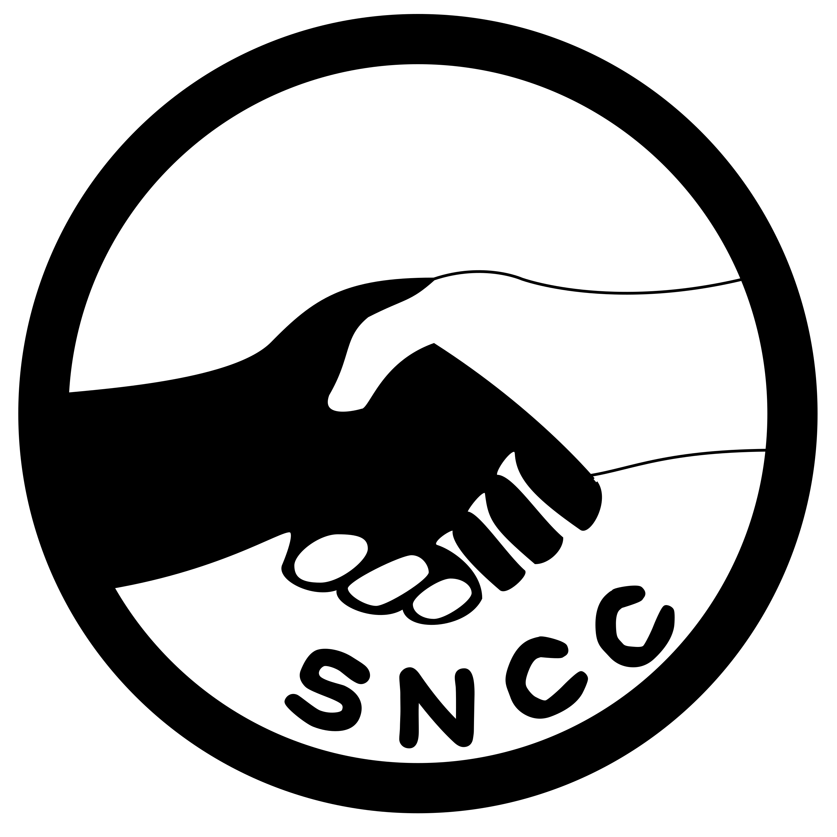 SNCC logo