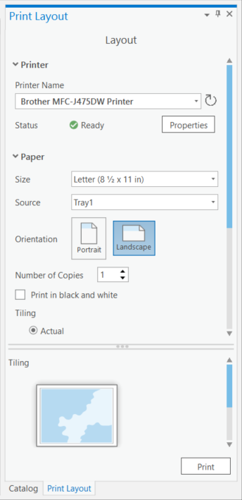 Figure 1.43: Setting the print options