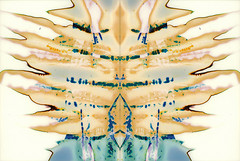 Rorschach Inkblots
