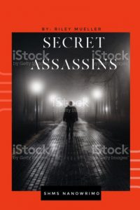 Book Cover of Secret Assassins