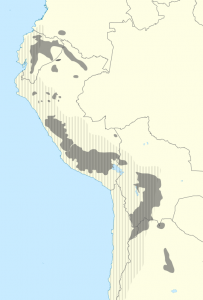 Map of the current distribution of the Quechuan languages (solid) with the historical extent of the Inca Empire (shaded)