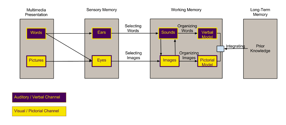 multimedia-learning-theory-maverick-learning-and-educational-applied